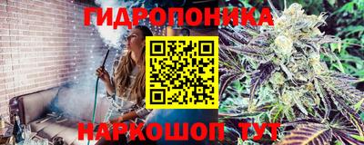 сатива Нягань