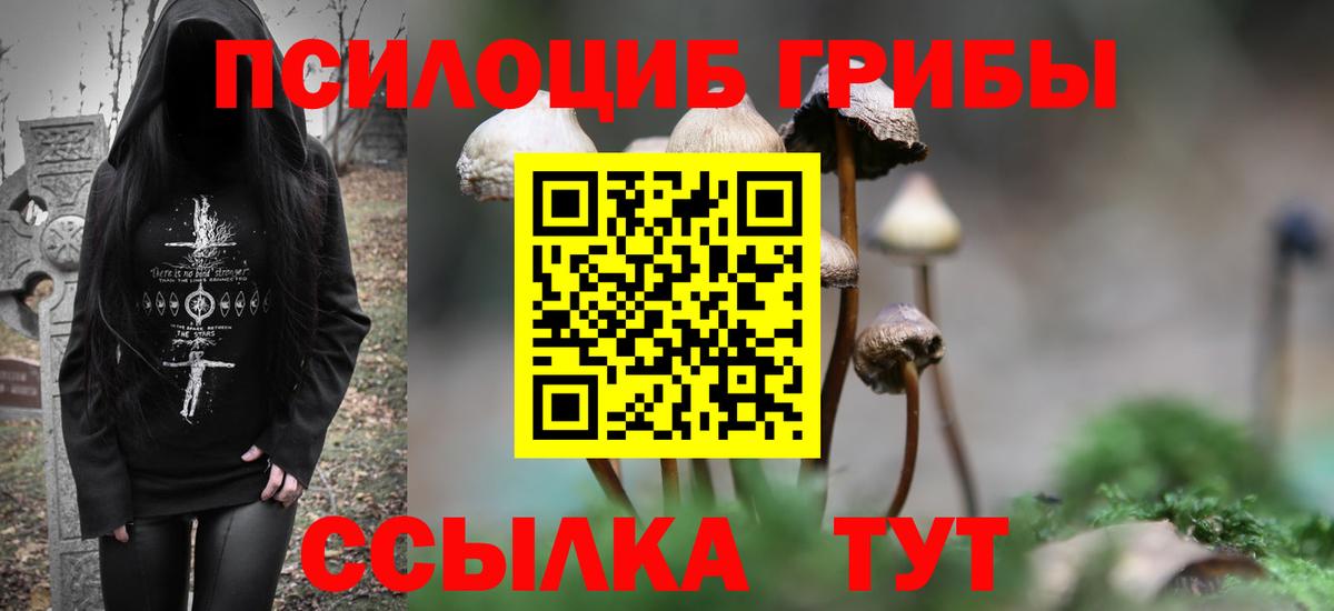 Галлюциногенные грибы мухоморы  хочу   Тимашёвск  Вход с VPN 